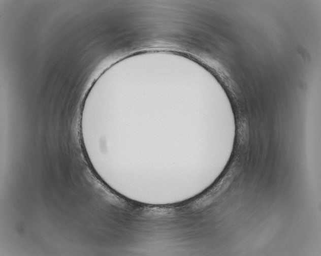 X0000110921374200907301553