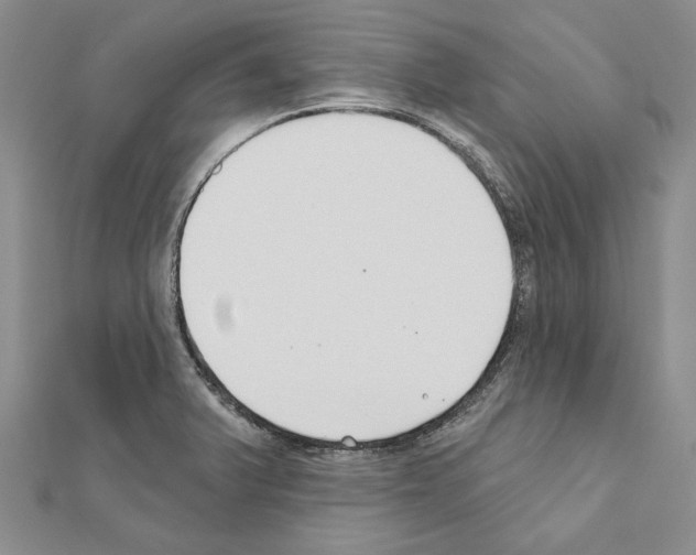 X0000110921375200907301553