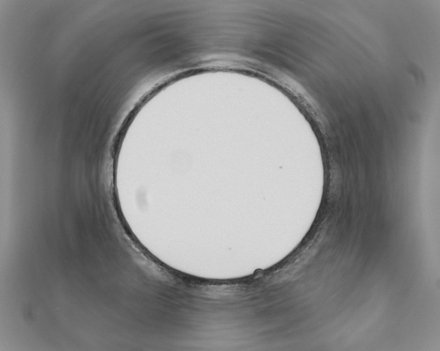 X0000110921376200907301553