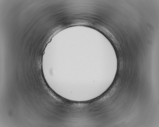 X0000110921377200907301553