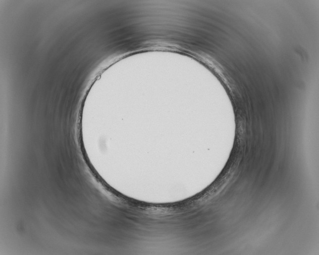 X0000110921379200907301553