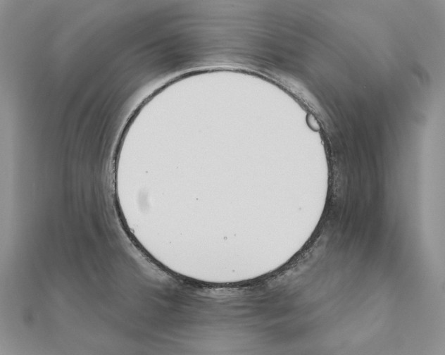 X0000110921380200907301553