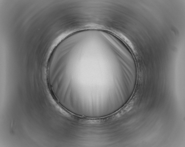 X0000110921381200907301553