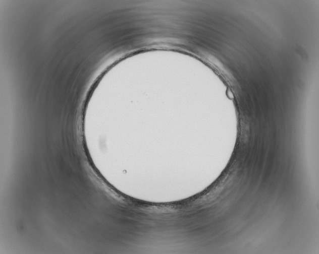 X0000110921384200907301553