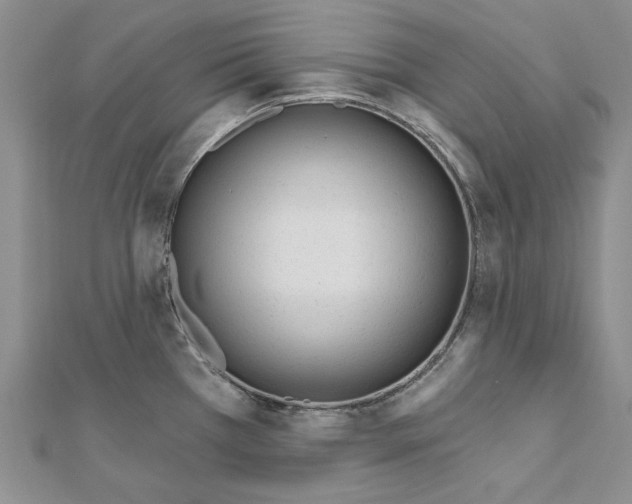 X0000110921385200907301553