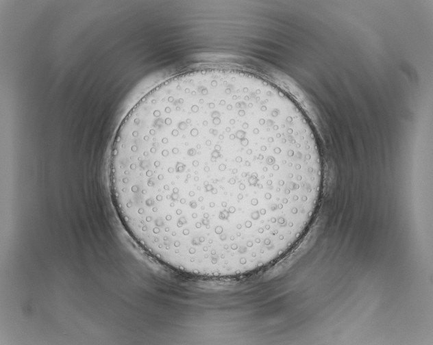 X0000110921386200907301553