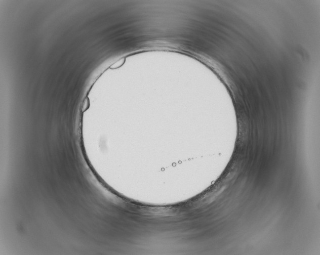 X0000110921387200907301553