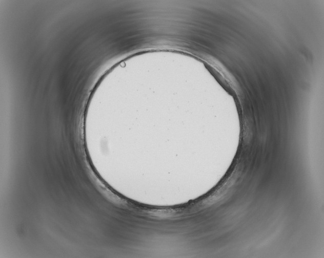 X0000110921388200907301553