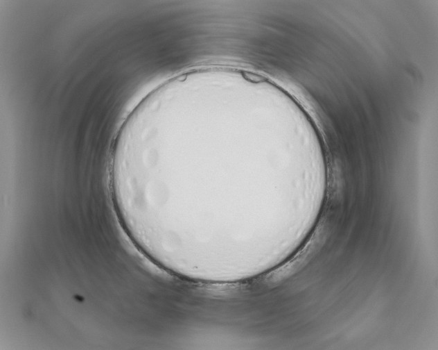 X0000110921390200907301553