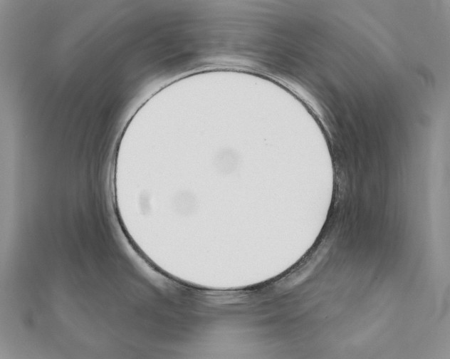 X0000110921391200907301553