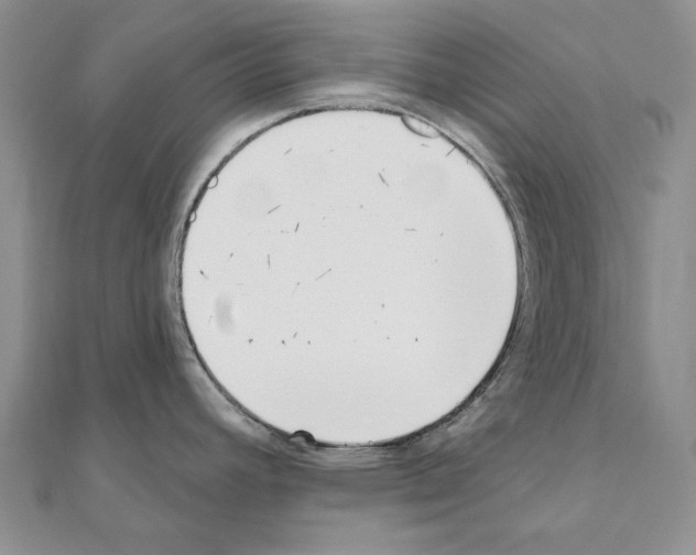 X0000110921392200907301553