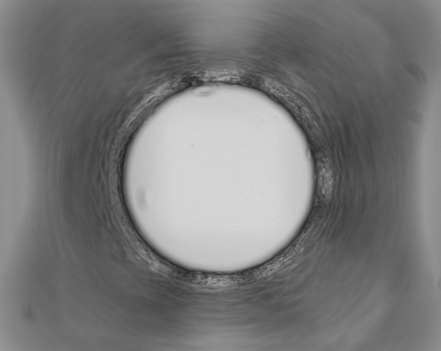 X0000110921393200907301552