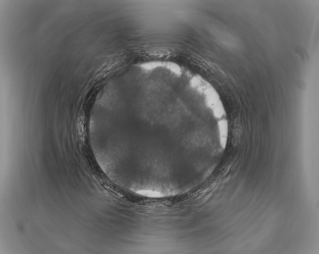 X0000110921394200907301552