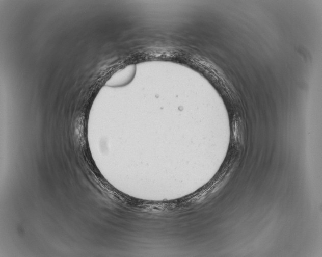 X0000110921396200907301552
