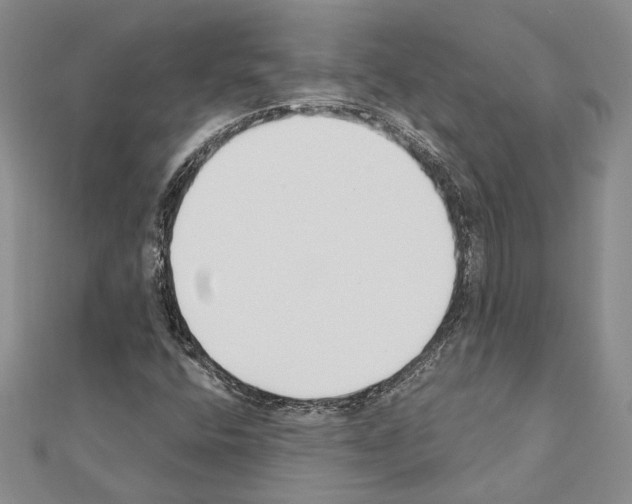 X0000110921400200907301552