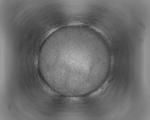 X0000110921401200907301552