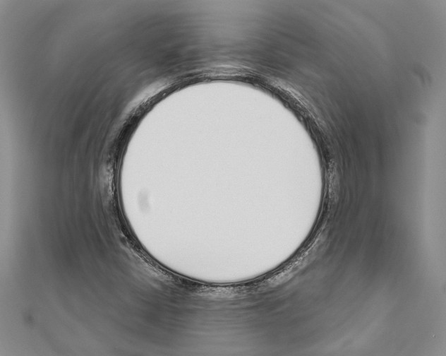 X0000110921402200907301552