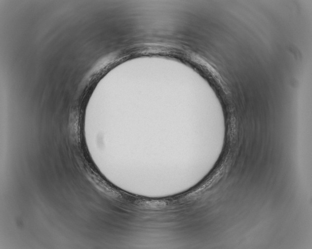 X0000110921403200907301553