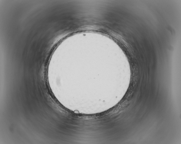 X0000110921404200907301553