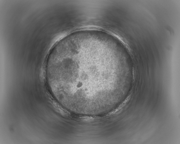 X0000110921405200907301553