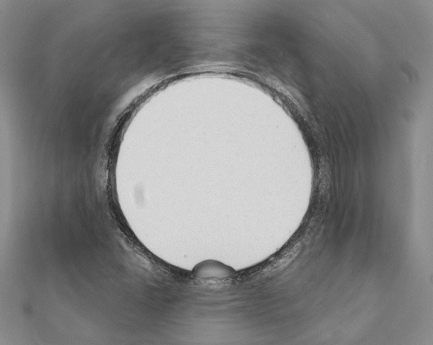 X0000110921406200907301553