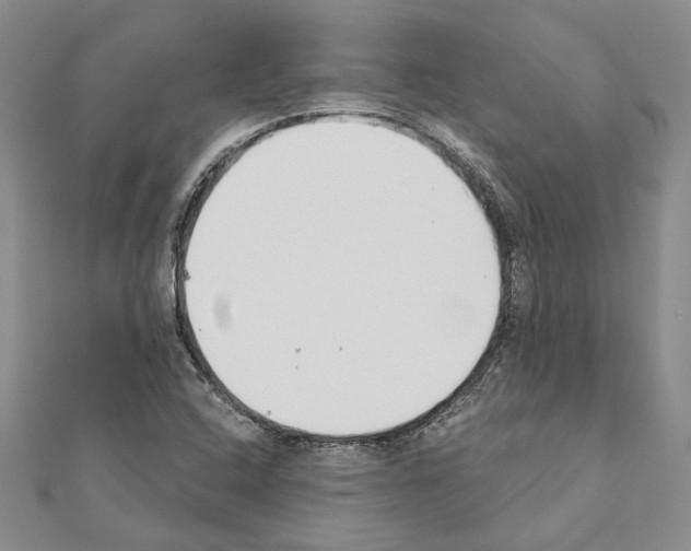 X0000110921408200907301553