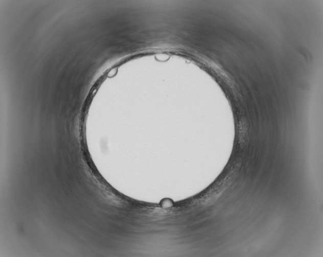 X0000110921412200907301553
