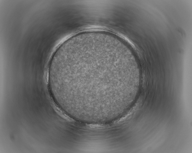 X0000110921413200907301553