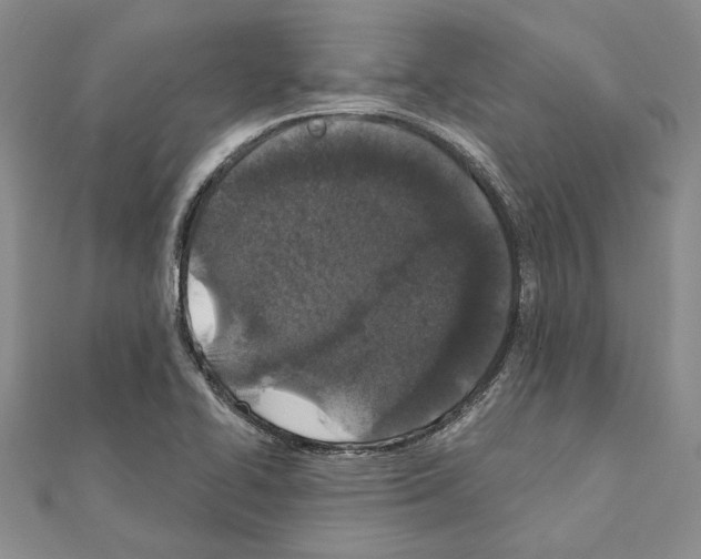 X0000110921414200907301553