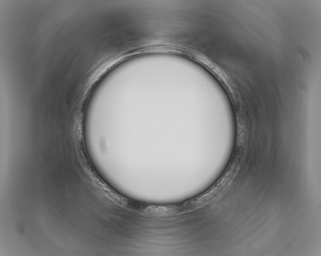 X0000110921415200907301553
