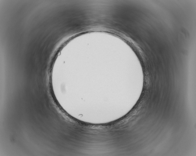X0000110921416200907301553
