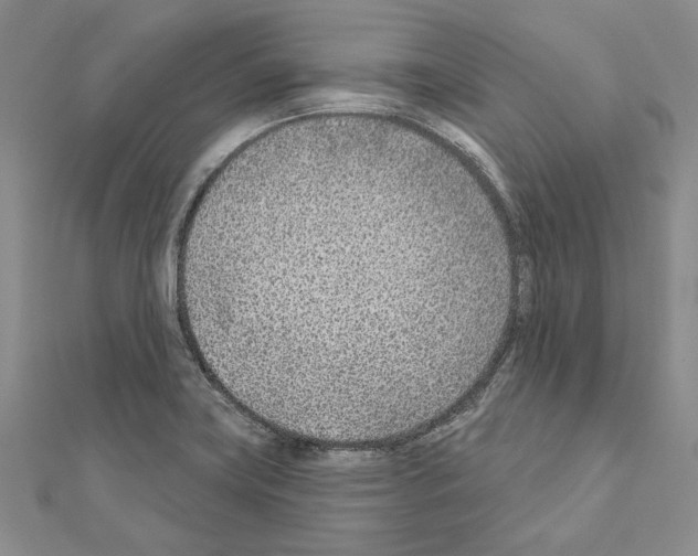 X0000110921419200907301553