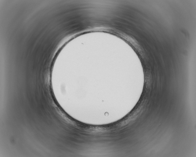 X0000110921420200907301553