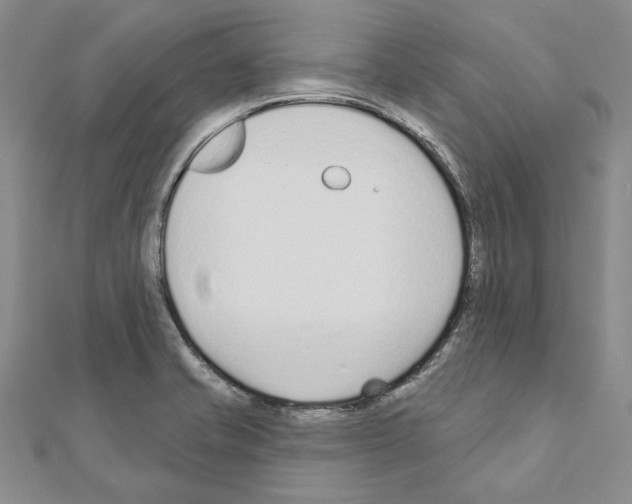 X0000110921421200907301553