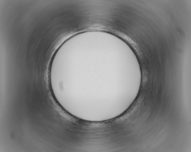 X0000110921423200907301553