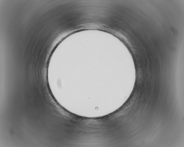 X0000110921424200907301553