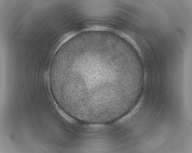 X0000110921425200907301553
