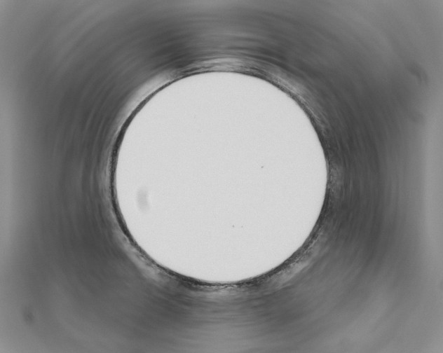 X0000110921426200907301553