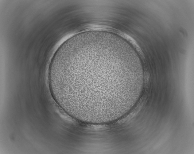 X0000110921427200907301553
