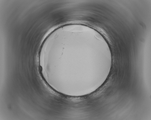 X0000110921428200907301553