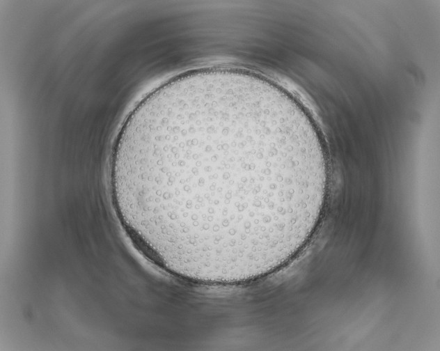 X0000110921429200907301553