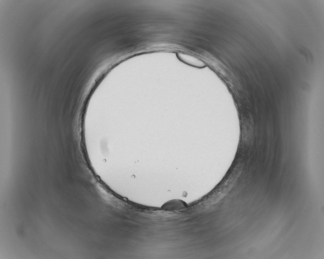 X0000110921430200907301553