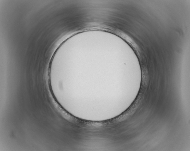 X0000110921431200907301553