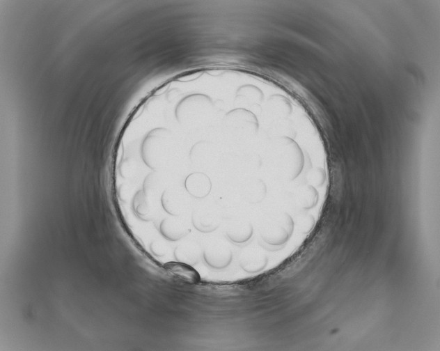 X0000110921432200907301553