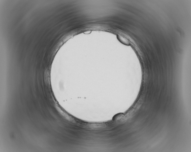 X0000110921433200907301553