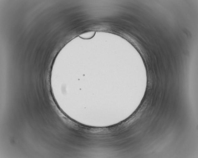 X0000110921434200907301553