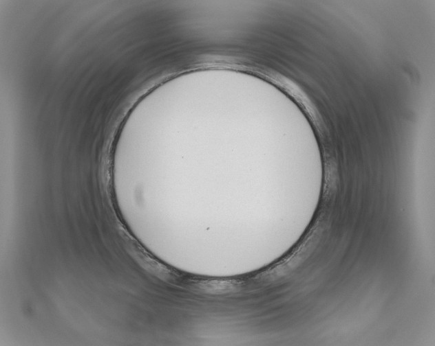 X0000110921435200907301553