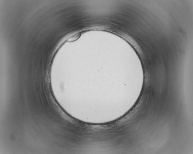 X0000110921436200907301553