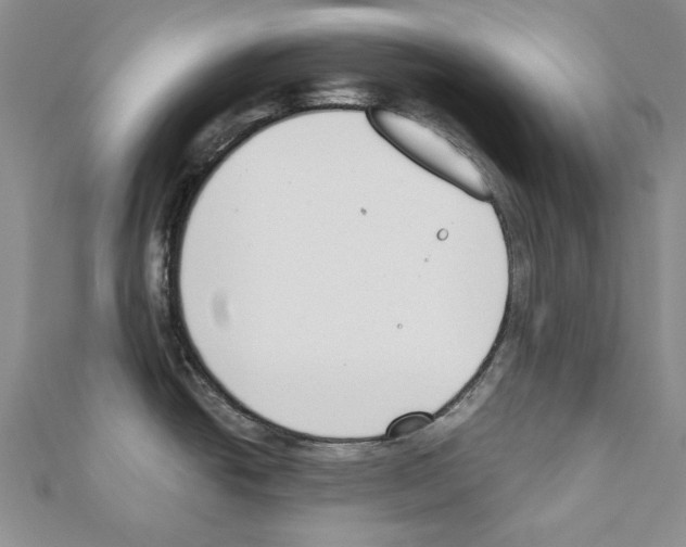 X0000110921438200907301553