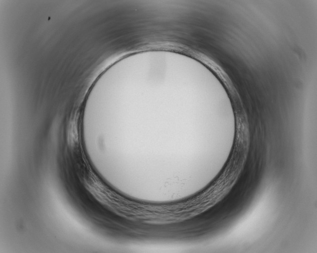 X0000110921439200907301553